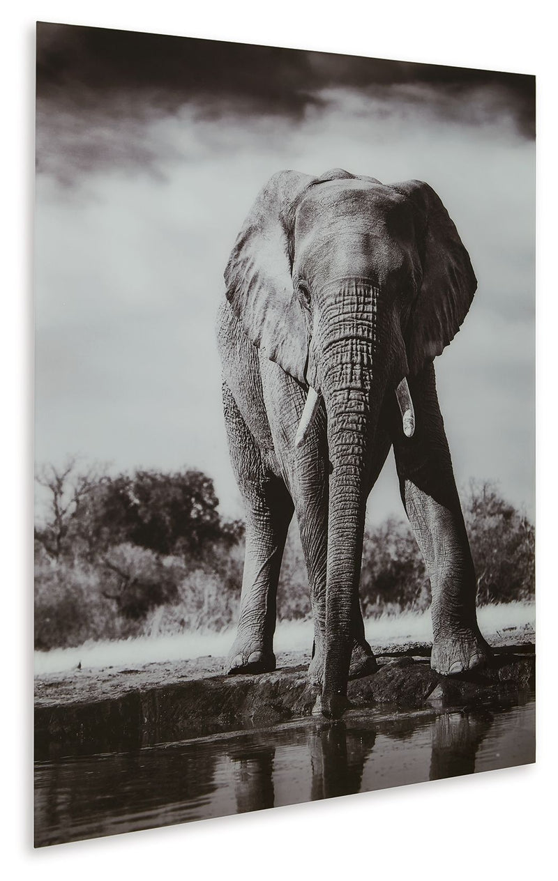 Glinyard - Wall Art - Black / White
